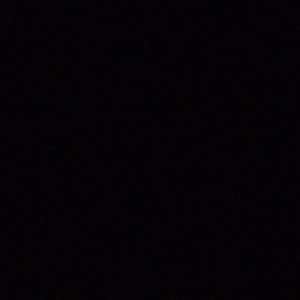 Meet your Posher, Dodo